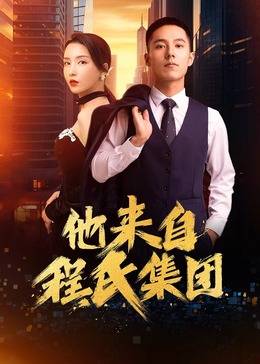 提供seo优化收费标准