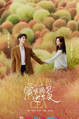 东莞石龙seo优化公司